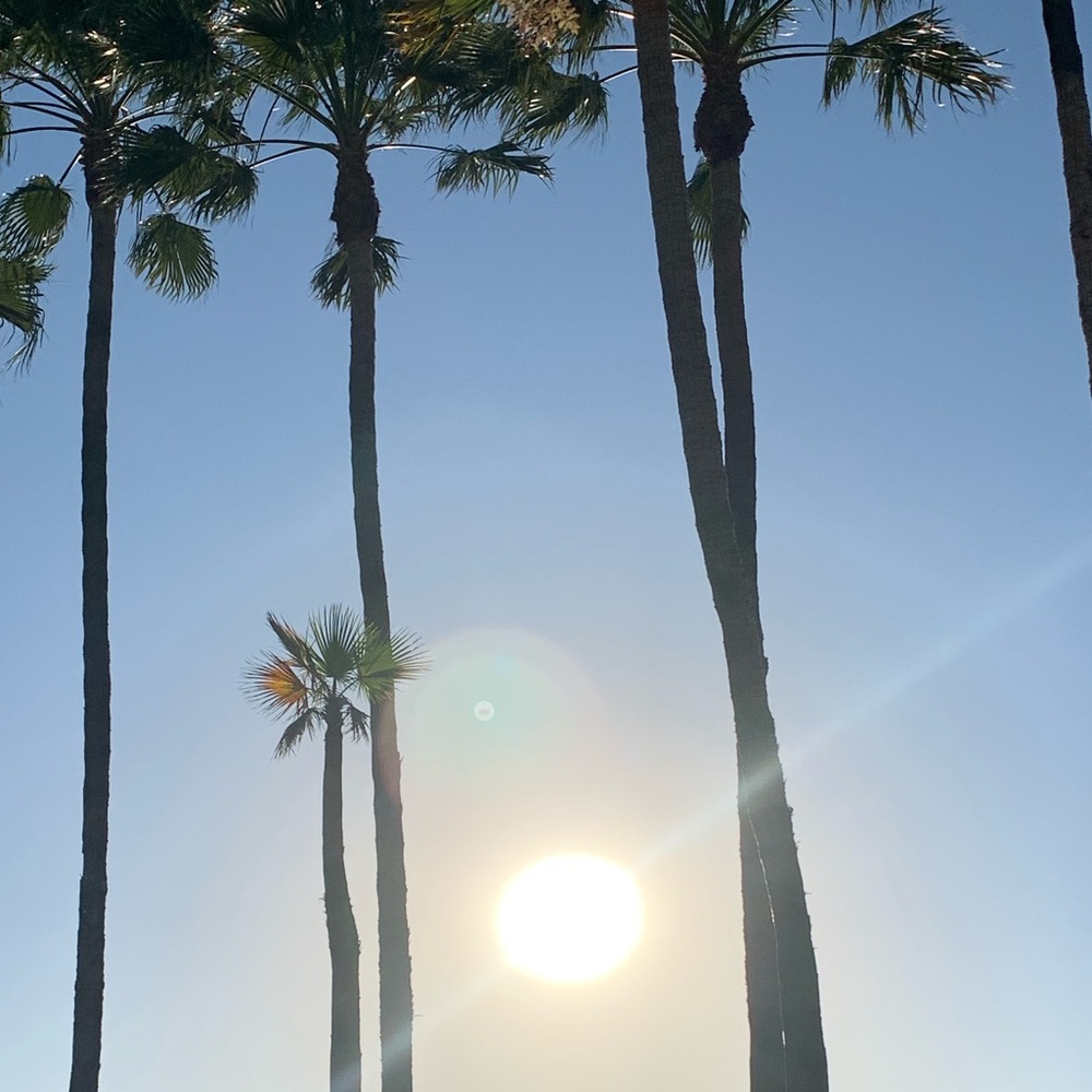 Meet your Posher, Denise